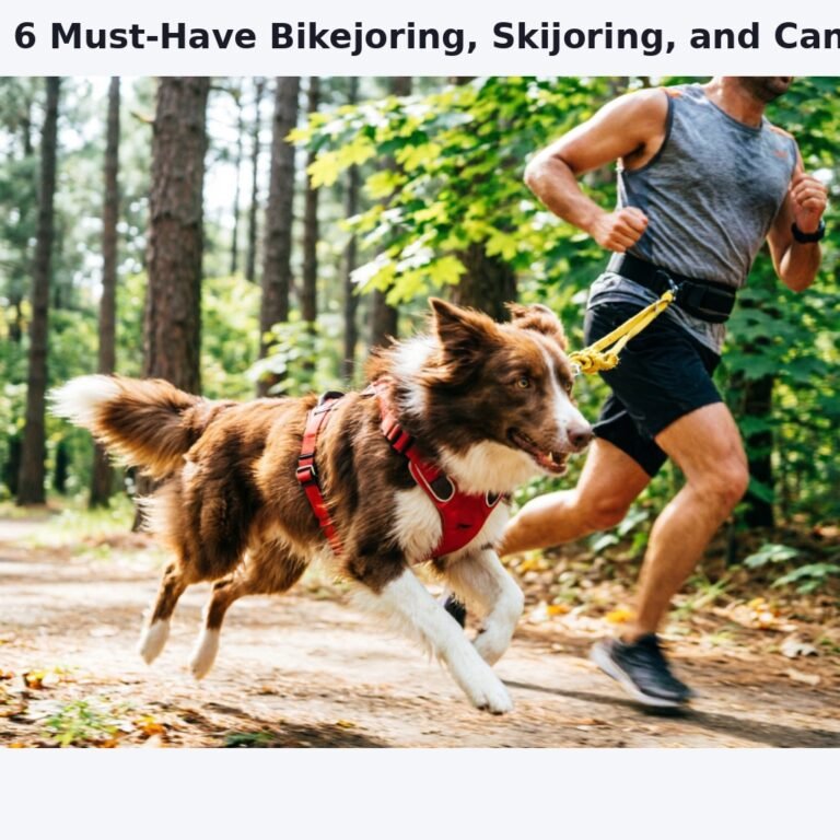 Dynamic action photograph of a medium-sized dog with a well-fitted pulling harness sprinting along a forest