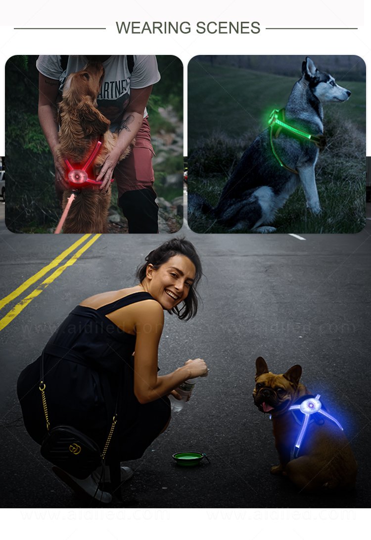 The Benefits Of The LED Shining Dog Leash 2 The Benefits Of The LED Shining Dog Leash