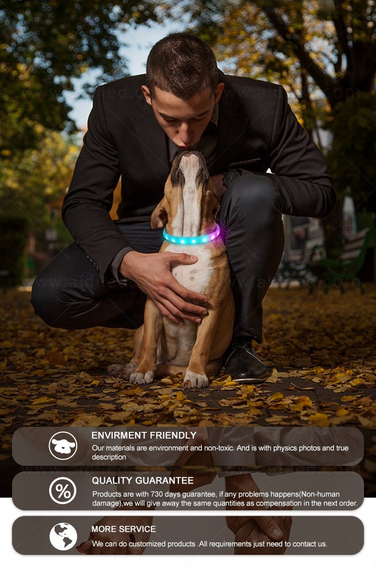 Favary RGB Light Pet Necklace - The Best Dog Or Cat Collar