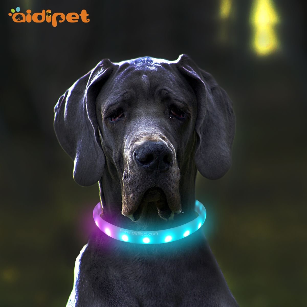 AIDI-C6 LED RGB Dog Collar Launched
